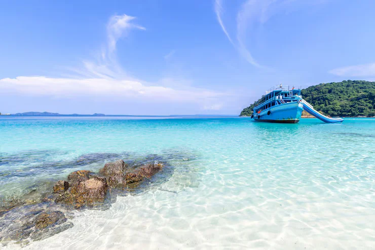 Best Time to Cruise the Galapagos