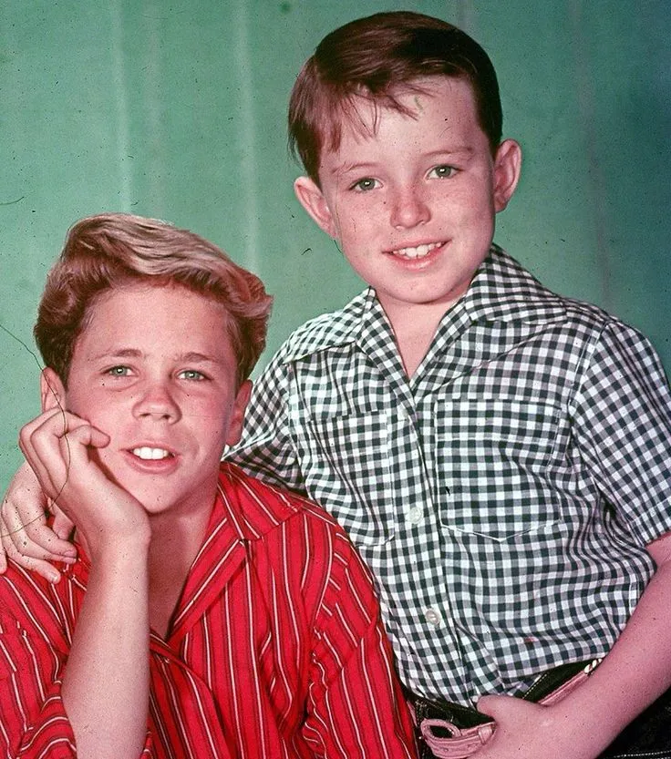 Jerry Mathers 