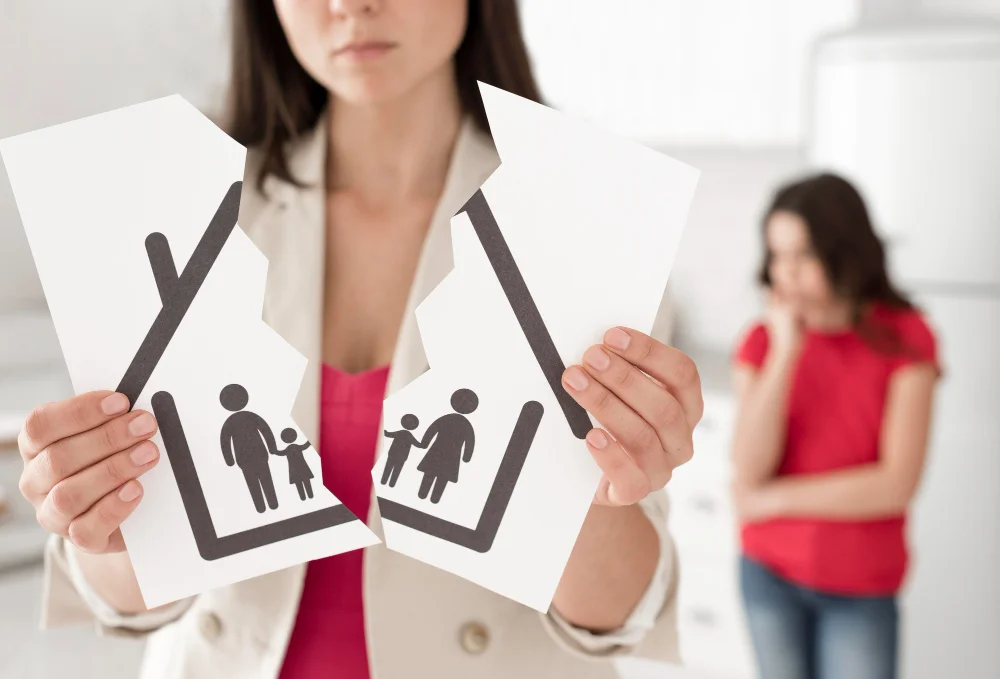 Making Adoption Understandable and Accessible