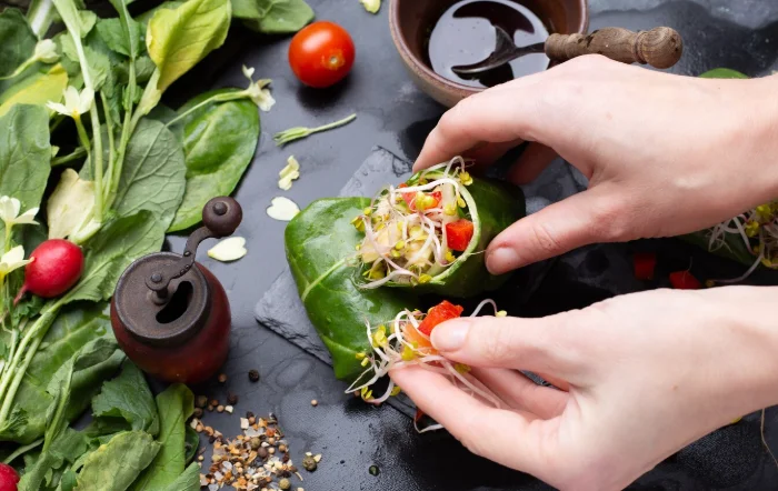 Elegant Vegetarian-best dinner party meals