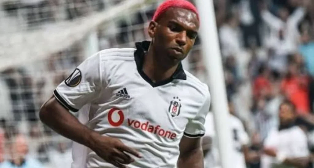 Career Journey and Its Role in Ryan Babel Net Worth