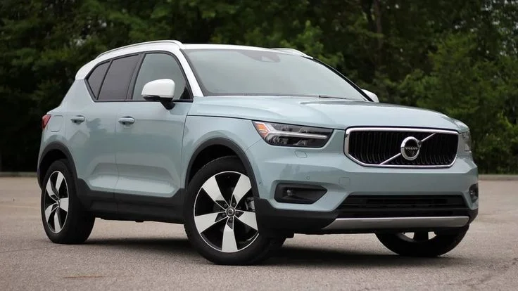 Popular Segments Where White SUV Cars Shine