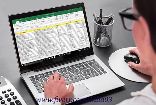 Data Entry Clerk