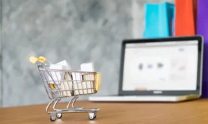 E-commerce PPC Services
