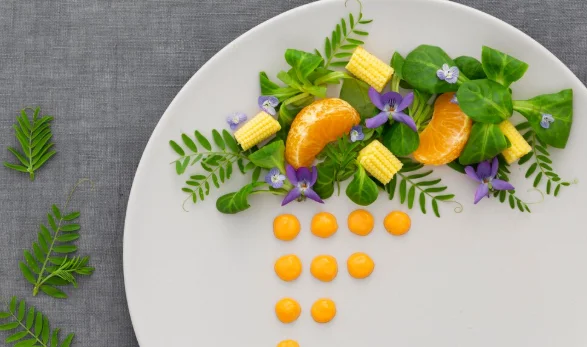 Plant-Based Plates for Modern Tastes-brunch menu ideas