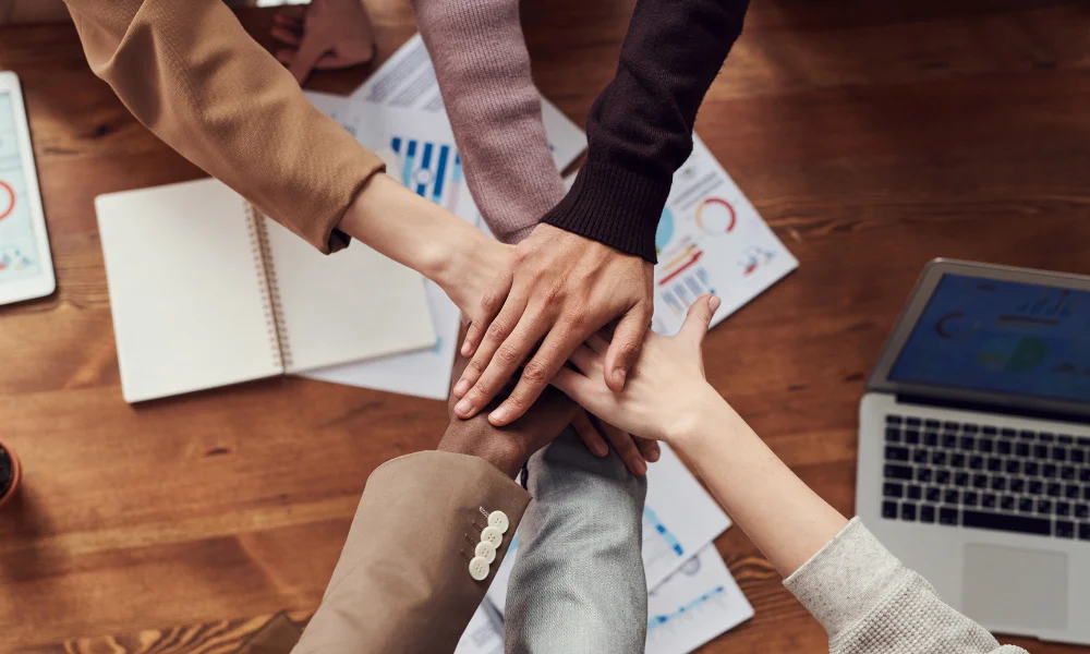 White Label SEO Partnerships