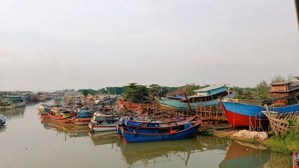 The Growing Popularity of Veneajelu