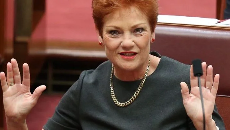 Why Pauline Hanson Net Worth Matters