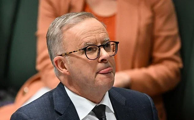 Who Is Anthony Albanese?