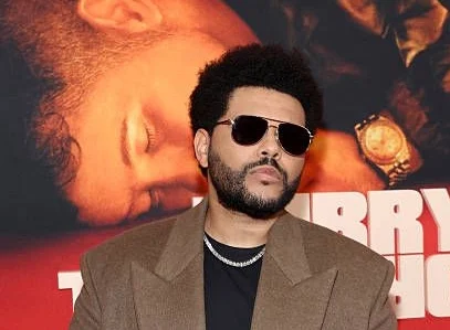 Future Projects and Financial Growth