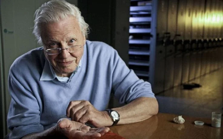 Estimating David Attenborough Net Worth