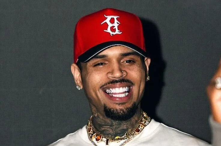 Chris Brown Net Worth: Lavish Lifestyle