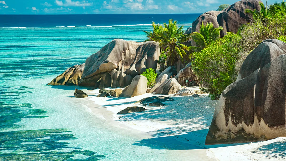 Tropical beach in Seychelles with large granite boulders, palm trees, and white sand along clear turquoise water.
