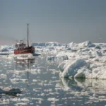 Dreaming of icebergs, penguins, and untouched beauty? Antarctica cruises offer an unforgettable journey to the most remote place on Earth.