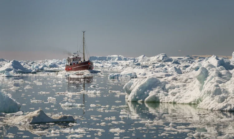 Dreaming of icebergs, penguins, and untouched beauty? Antarctica cruises offer an unforgettable journey to the most remote place on Earth.