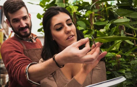 Gardeners looking at green plant