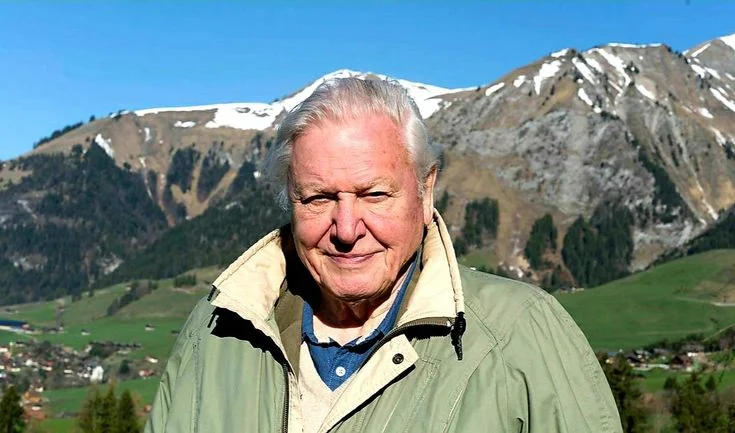 David Attenborough Net Worth: