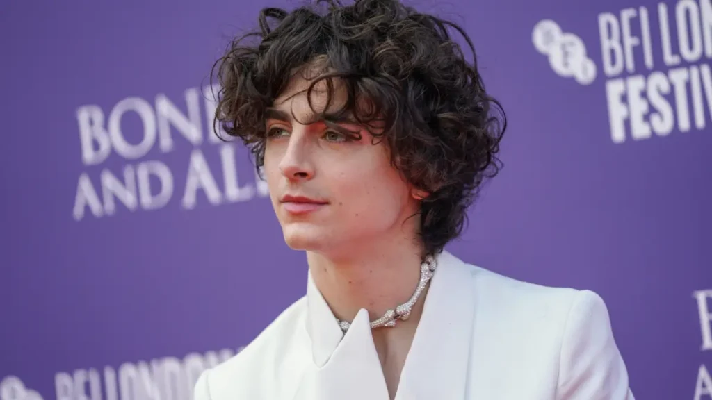 Timothee Chalamet net worth